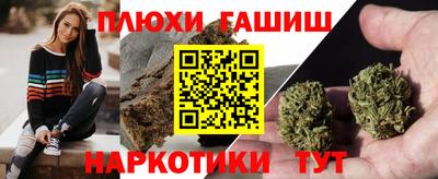 прущие грибы Кандалакша