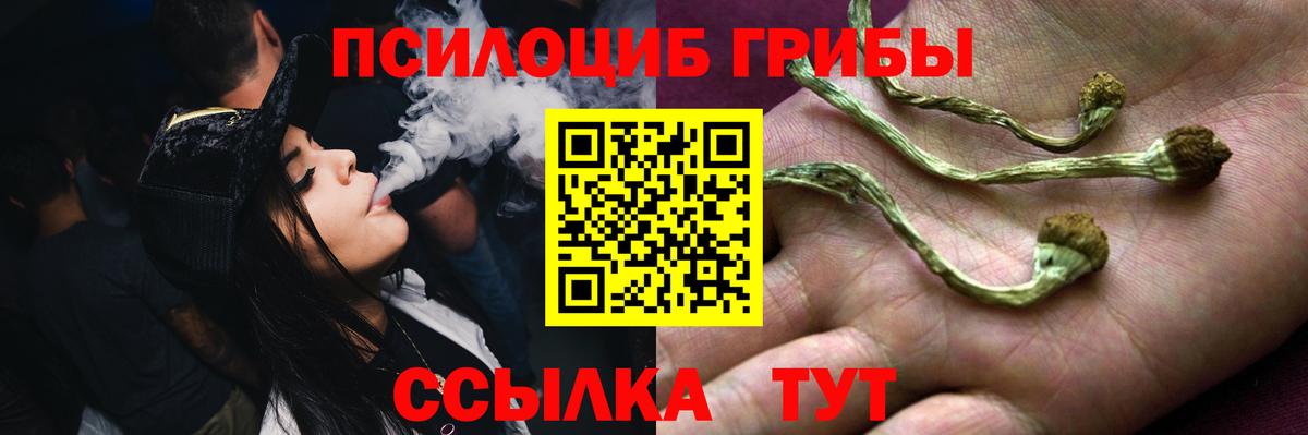 Кыштым  Галлюциногенные грибы Cubensis  Вход с VPN 