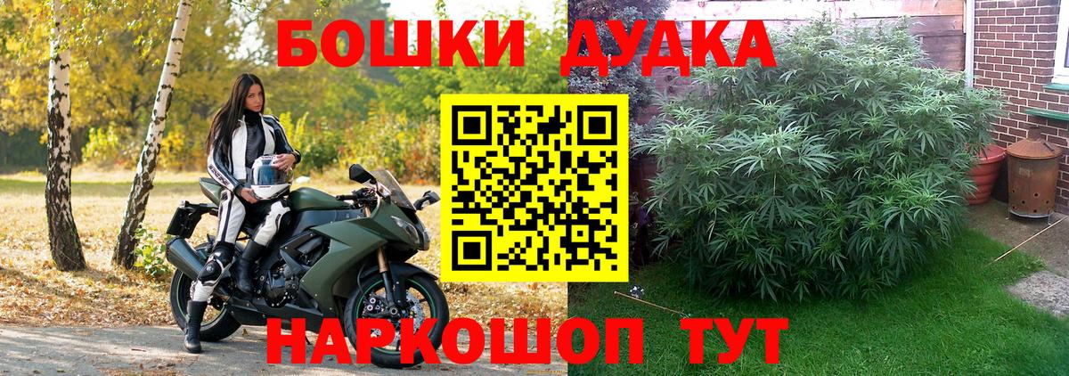 Бошки марихуана ГИДРОПОН  Вход с VPN  МАРИХУАНА сатива  Кыштым  Бошки Шишки AK-47 